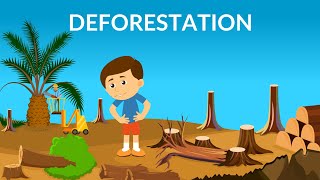 Deforestation | Causes, Effects & Solutions | Video for Kids