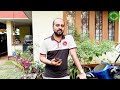 Chetak 3501 Owner Answers Your Questions