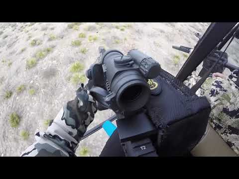 Helicopter Hog Hunting in Texas 2020