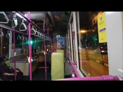 [SBS Transit] Super Loud ZF Ecomat!- SBS8084G 5
