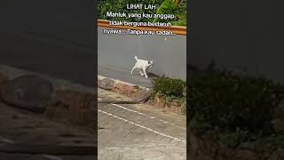 Download lagu STORY WA KEKINIAN|| STROY WA TERBARU 2024|| STATUS WA KEREN||#shorts#storywa#statusvideo#trending### mp3