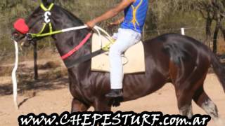 ELISEO    2015 14 06 HIP  LA TOSTADA VIDEO DE CHEPES TURF