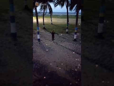 playa brisa mar relax