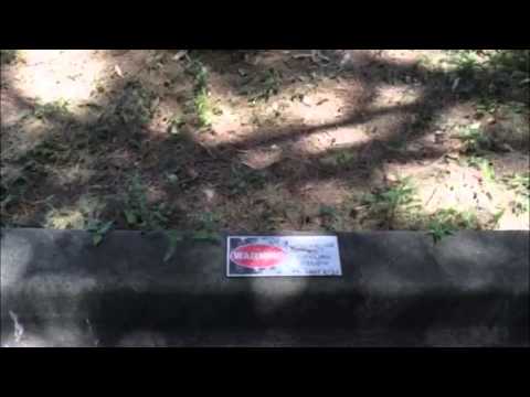 Rhino/Tapex Tips From The Field - Curb Markers