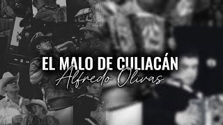 El malo de Culiacán- Alfredo Olivas Audio Mejorado 2025