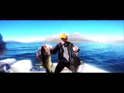 Boat trip to Qooqqut in Godthåbsfjorden, Nuuk Greenland