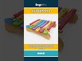 xylophone - a musical instrument with... video thumbnail
