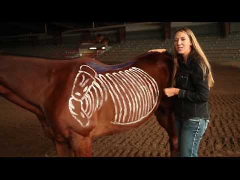 Saddle Fitting: Proper Way to Fit a Horse | Burns Saddlery, Horse Saddles, Western Saddle, Saddlery