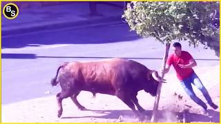 25 Most Brutal Animal Attacks Caught on Camera