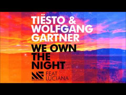 Tiësto Wolfgang Gartner We Own The Night ft Luciana (Original Mix)