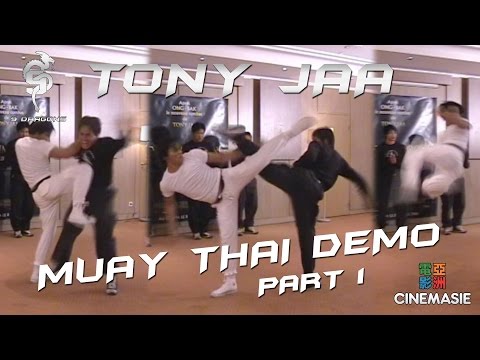 Tony Jaa: Berita, Foto, Video, Lirik Lagu, Profil & Bio 