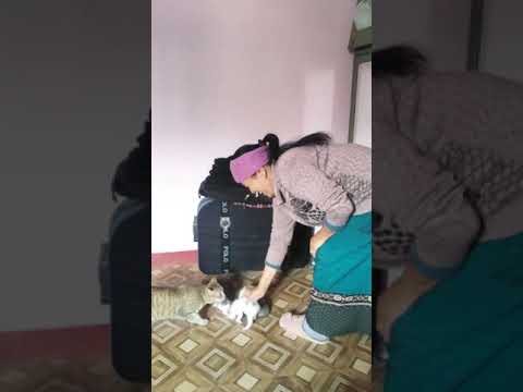 Mother love baby Cat😍😍😍🤩🤩🤩