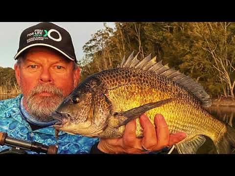 HOW-TO: Catch Even MORE Bream On Fly Part 3 — Everything You Need To Know!