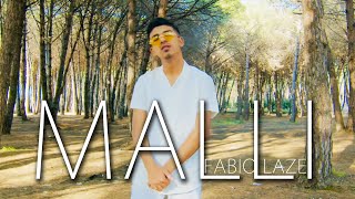 Fabio Laze - Malli
