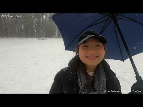 The Noel feat. Sam Shore - All For Christmas