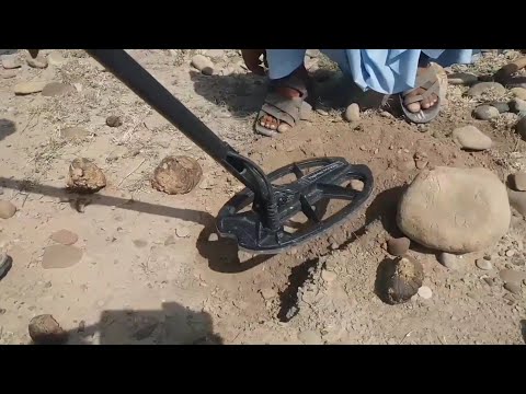 Seerch Machine.🍾🍾 Metal Detector. very Nice. Gold Searching. Beautiful. video