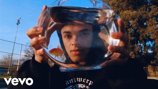 Cover art for fan behavior