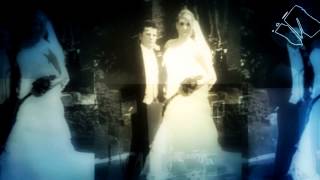 Cranes - Beautiful Friend