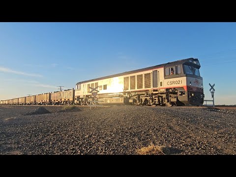 9721V SCT down "Dooen Express" (CSR021, 43P), Melbourne to Dooen, 0635, 12/12/25, Murtoa South VIC 