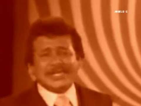 FERNANDO TOUZENT - SANGRE DE VINO