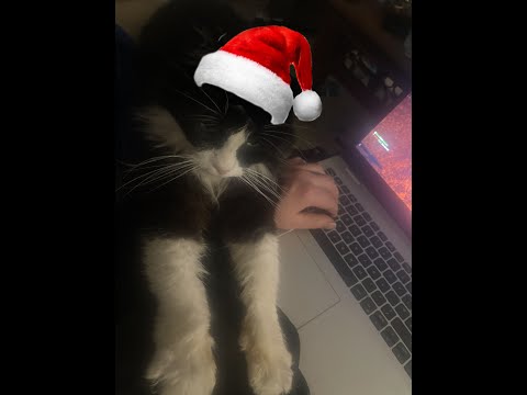 very normal hourglass round (no bugs found here!)