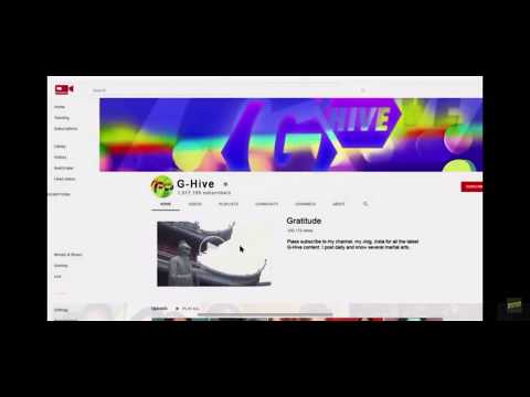 GRATITUDE:Gina Linetti