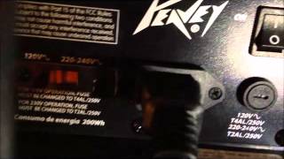 Video thumbnail for Review: Peavey Dark Matter 115 series by Stacey Noles DJ
