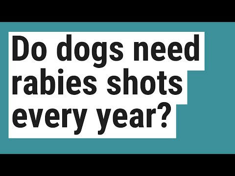 Do dogs need rabies shots every year?