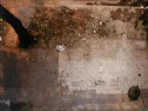 Of Hawks and Hawkers