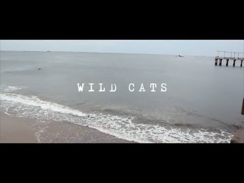 Wild Cats (con Milano Constantine & Nem$)