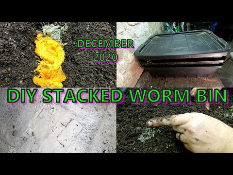 DIY STACKED WORM BIN DEC 2020