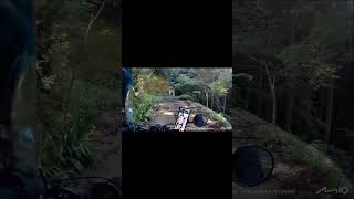 初心者が林道を目の前にした結果