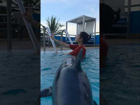Shark Attack! Got you Haha | J Jai Pan เจไจ๋แปน