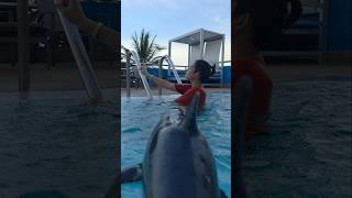 Download lagu Shark Attack! Got you Haha | J Jai Pan เจไจ๋แปน mp3