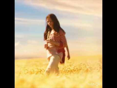 Mr. Harvey’s victims (The Lovely Bones)