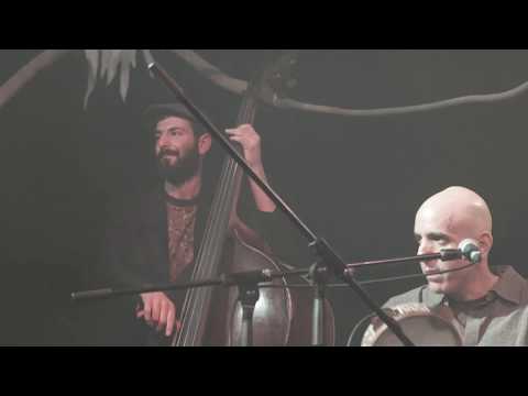 SHALOSH // Brain Damaged Pumpkin Pie (Feat. Zohar Fresco)