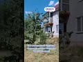Видео превью