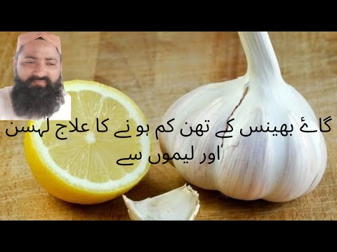 Home Remedies For cows | bhains ke than ka desi ilaj |