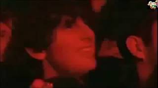 The Strokes - Hawaii (live London 2005 sub-ing/lyrics)