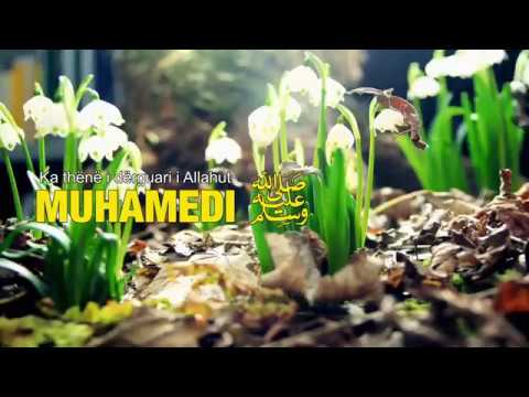 Thuaj shtate herë këtë nese don që xheneti të bëj dua për ty.