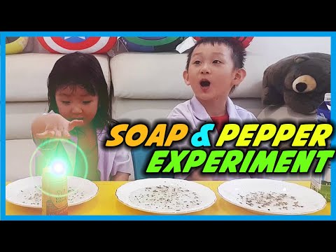 Soap and Pepper Trick - Teach Your Children How Important It Is To Use Soap | DIY Science Experiment