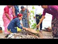 Tree Plantation JEMS 2025 26 Keshav Kundal