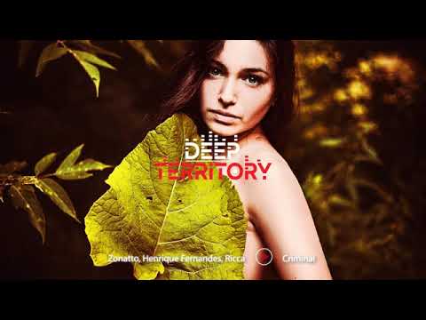 Zonatto, Henrique Fernandes, Ricca   Criminal