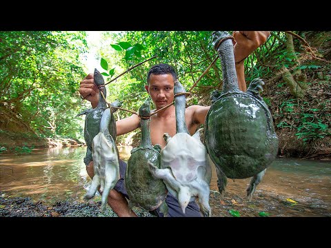 Unbelievable! Research & catch n 5 Softshell Turtle​ underwater then Cooking Turtle​ Soup in forest