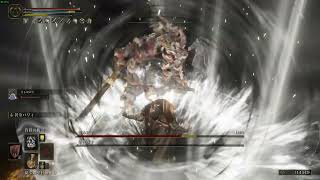 エルデンリング　忌み双子　貴種の腹芸半ハメ遊び EldenRing 【PC】