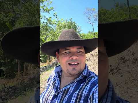 Siembra de árboles frutales en San Sebastián San Vicente 