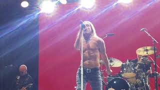 Iggy Pop "TV Eye"