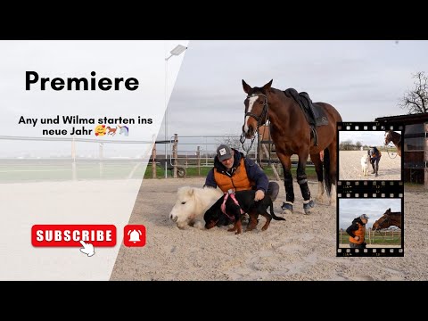 Any und Wilma starten ins neue Jahr 🥰🐎🦄