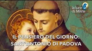 Le Parole dei Santi per oggi, 2 Luglio 2022 Sant'Antonio di Padova