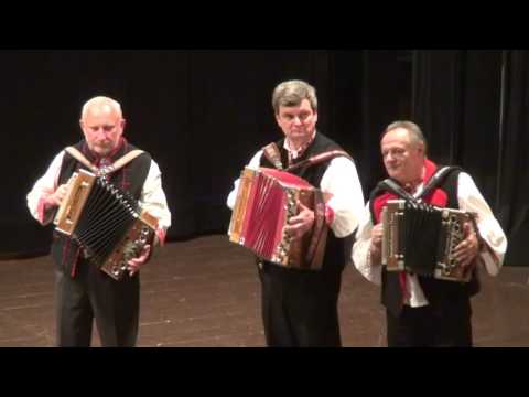 Piesne domova -  ŽSS FSJedľovina